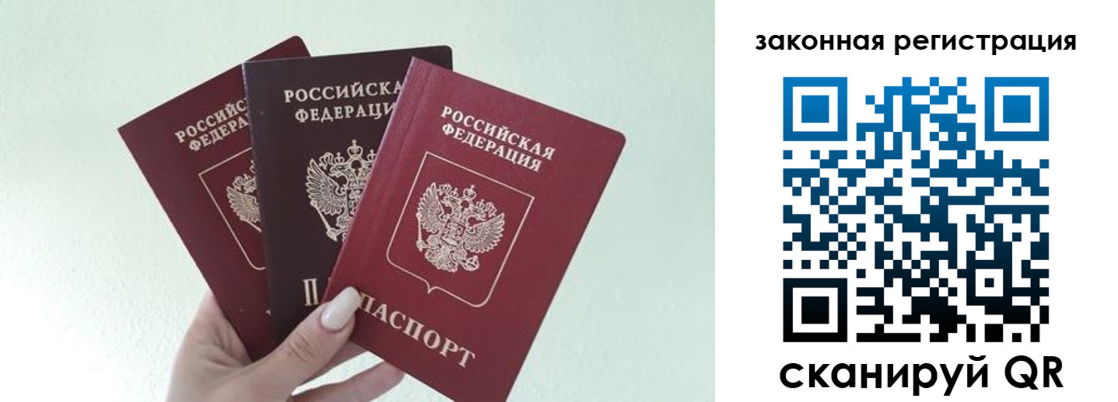 прописка 2025 в Звенигороде